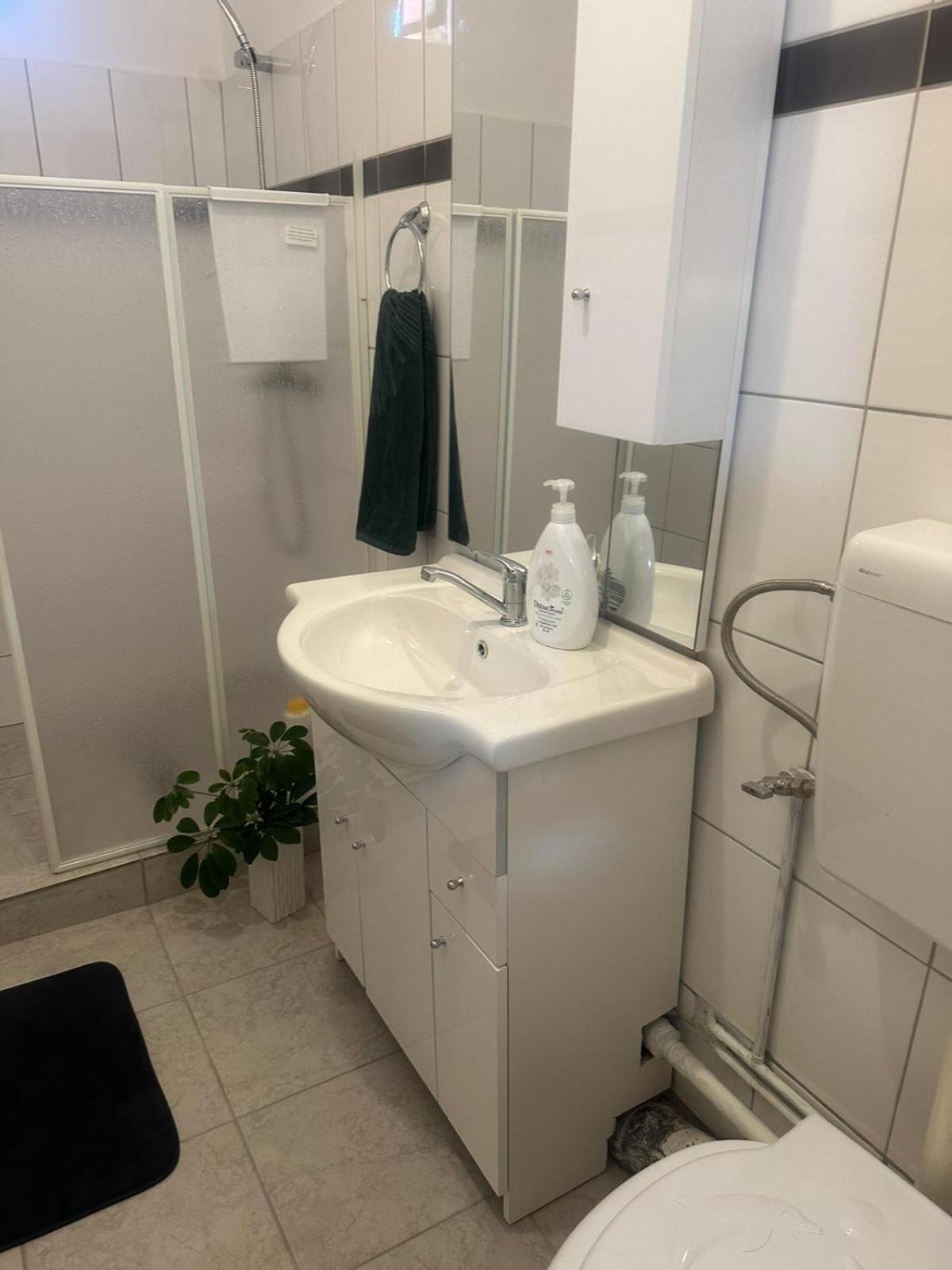 Ferienwohnung Apartament La Ilie Ocna Sibiului Exterior foto