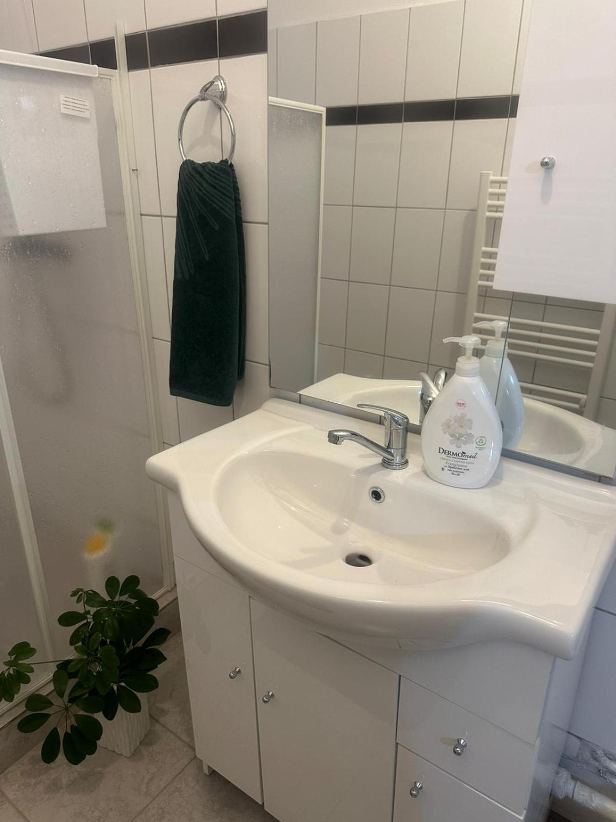 Ferienwohnung Apartament La Ilie Ocna Sibiului Exterior foto