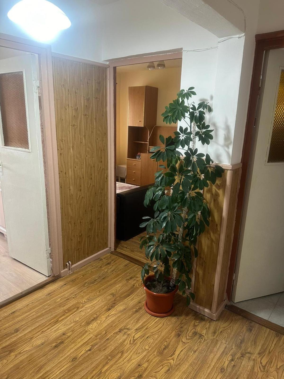 Ferienwohnung Apartament La Ilie Ocna Sibiului Exterior foto