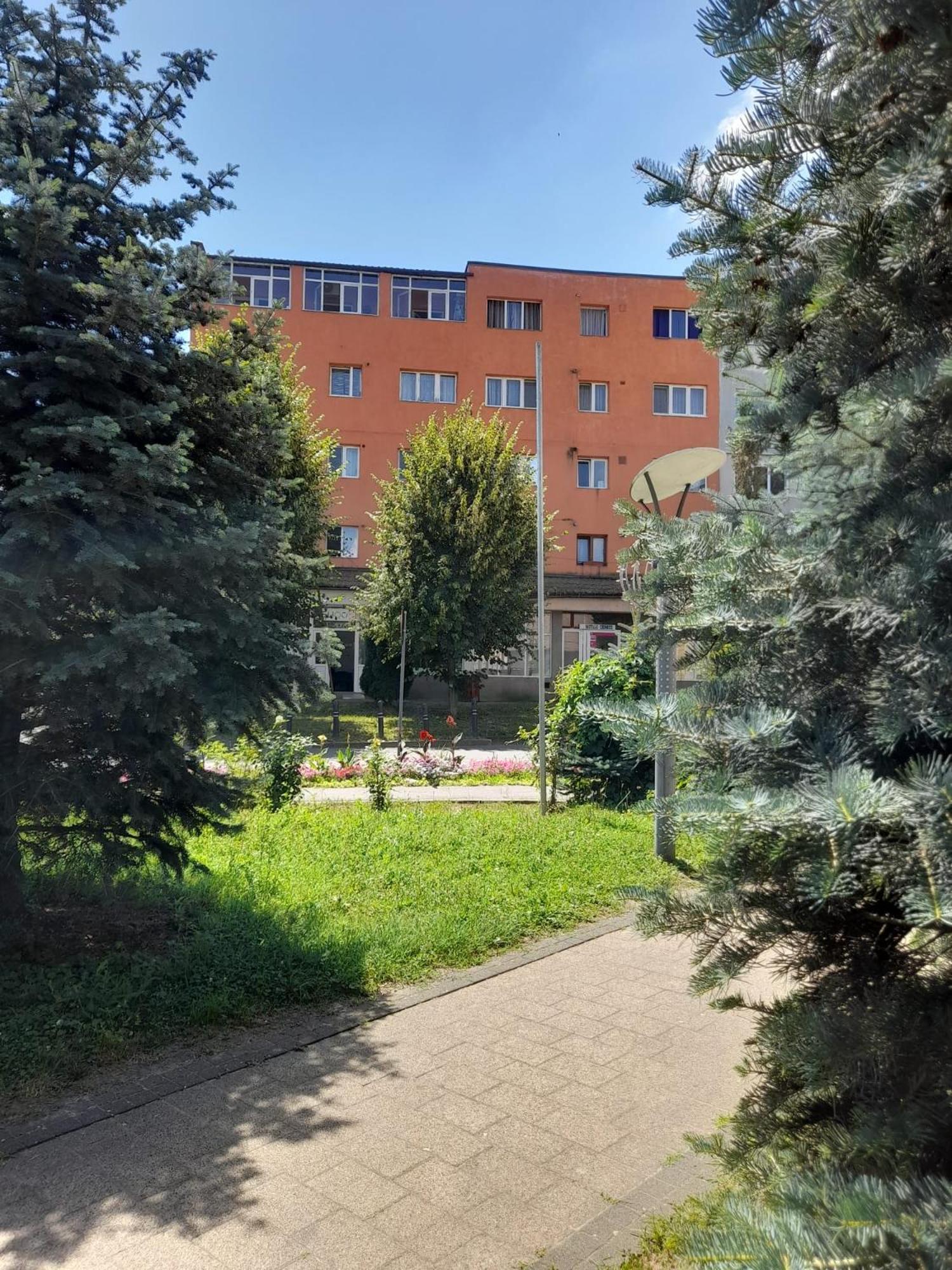Ferienwohnung Apartament La Ilie Ocna Sibiului Exterior foto